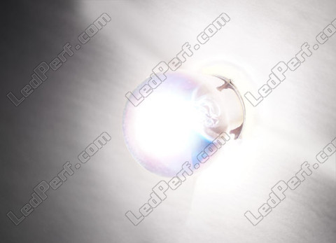 Ampoule T20 W21W Halogene Platinum vision Xenon effect Led