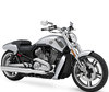Leds et Kits Xénon HID pour Harley-Davidson V-Rod Muscle 1250