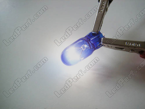 Ampoule BAX9S H6W Halogene Blue vision Xenon effect Led