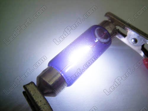 Pack de 2 ampoules navette halogenes - Blanc Xenon - Culot C5W - 31mm (10W)