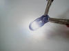 Ampoule LED T10 W5W Platinum Blue vision Xenon effect Led