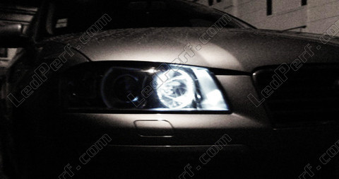 Veilleuses Leds Audi A3 à leds anti erreur ODB xenon