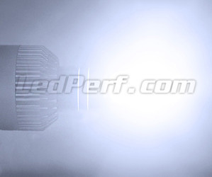 Rendu H7 LED pour véhicules VW Audi Skoda Seat Porsche Et Mercedes