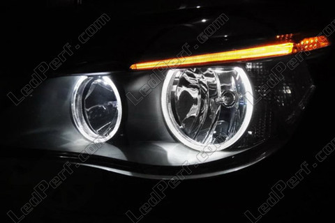Pack Leds angel eyes (anneaux) V2 pour BMW Serie 5 (E60 - E61) Phase 2  (LCI) - Sans xenon d'origine