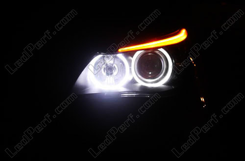 Pack Leds angel eyes (anneaux) pour BMW Serie 5 E60 E61 PH2 LCI