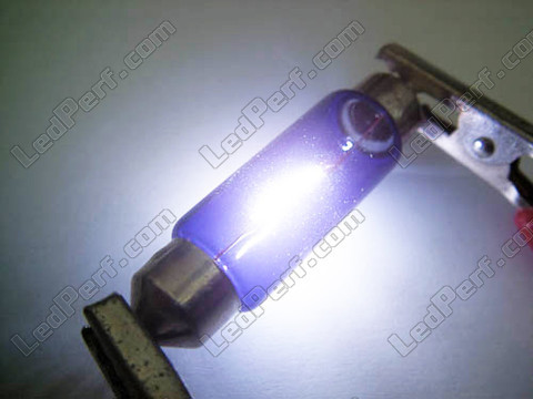 Ampoule 37mm C5W Halogene Blue vision Xenon effect Led