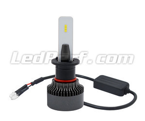 Ampoules H1 LED Eco Line branchement plug and play et Canbus anti-erreur