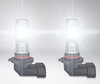 Ampoules LED H10 Osram LEDriving Standard pour antibrouillards en fonctionnement