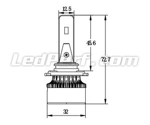 Ampoules H10 LED Eco Line dimensions compact