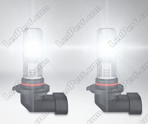 Ampoules LED H10 Osram LEDriving Standard pour antibrouillards en fonctionnement