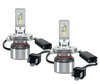 Gros plan sur les ampoules LED H4 Osram LEDriving® XTR 6000K - 64193DWXTR