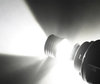 Ampoule Clever H8 à Leds CREE - Lumière blanche