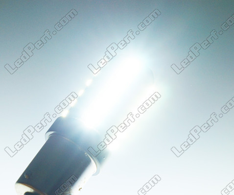 Eclairage ampoule P21/5W LED (BAY15D)  Ultimate Ultra Puissante