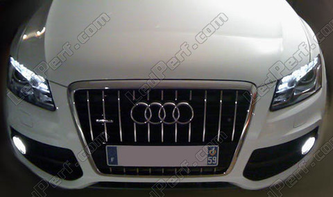 Pack ampoules antibrouillards Xenon pour Audi Q5 Led