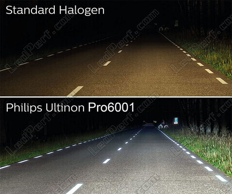 Kit Ampoules LED Philips pour Dacia Duster - Ultinon PRO6001 Homologuées