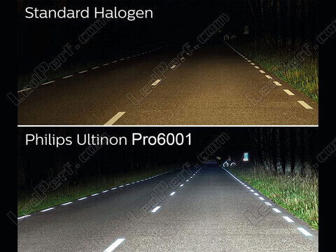 Kit Ampoules LED Philips pour Renault Twingo 2 - Ultinon PRO6001 Homologuées
