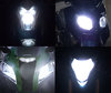 Led Phares Can-Am DS 450 Tuning