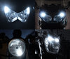 Led Veilleuses Blanc Xénon Harley-Davidson Custom  1200  (2011 - 2020) Tuning