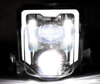 Phare LED pour Husqvarna Enduro 701 (2016 - 2023)