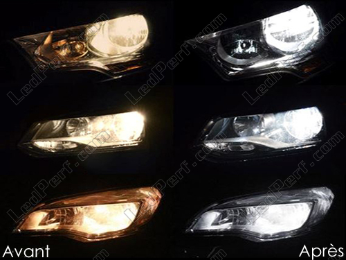 Pack ampoules de feux/phares Xenon effect pour Renault Kangoo 2