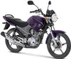 Moto Yamaha YBR 125 (2010 - 2013) (2010 - 2013)