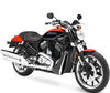Moto Harley-Davidson Street Rod 1130 (2005 - 2007)