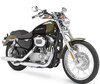 Moto Harley-Davidson Custom 883 (1999 - 2009)