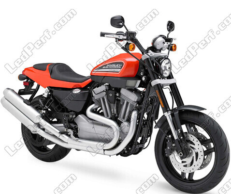 Moto Harley-Davidson XR 1200 (2007 - 2010)