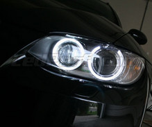 Pack angel eyes H8 à leds (blanc pur 6000K) pour BMW Serie 3 (E92 - E93) - Standard