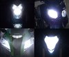 Pack ampoules de phares Xenon Effect pour Harley-Davidson Tri Glide Ultra  1690 - 1745