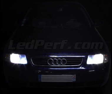 Pack ampoules de feux/phares Xenon effect pour Audi A3 8L