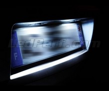 Pack éclairage de plaque à leds (blanc xenon) pour Renault Scenic 2