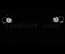 Pack angel eyes H8 à leds (blanc pur 6000K) pour BMW X1 (E84) - Standard