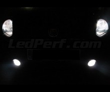 Pack ampoules de phares Xenon Effects pour Fiat Grande Punto / Punto Evo