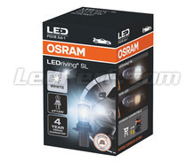 Ampoule LED P13W Osram LEDriving SL - Cool White 6000K - 828DWP