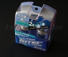 Pack de 2 Ampoules H10 MTEC Cosmos Blue - Blanc xenon